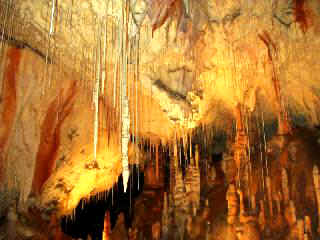 Gombaseck jaskya